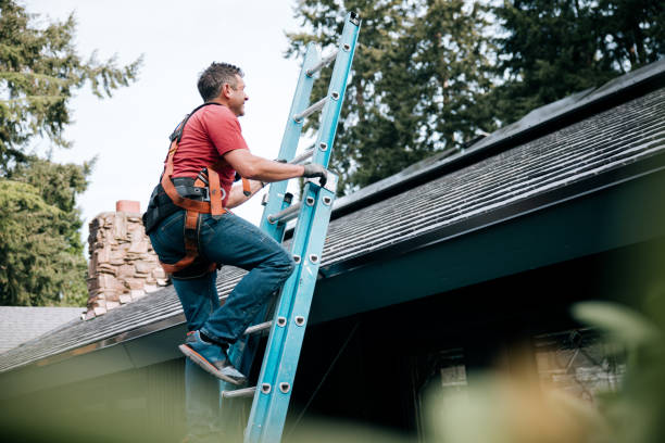 Best Roof Moss and Algae Removal  in Delta, OH